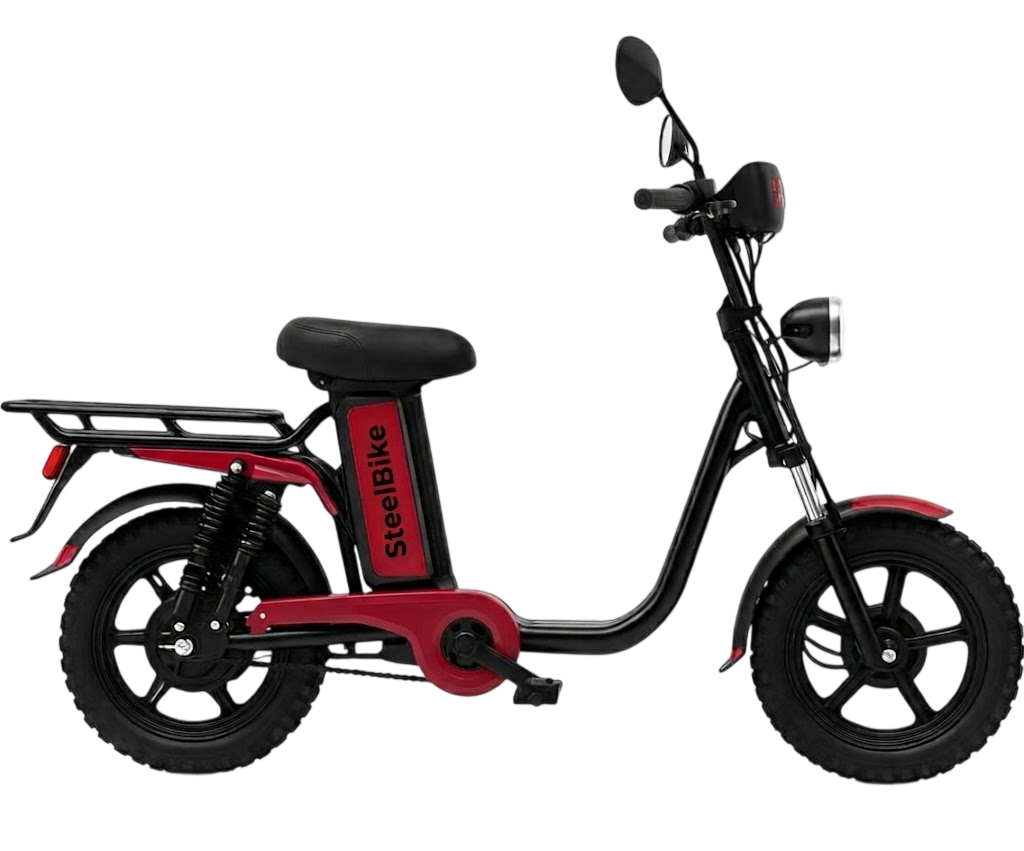 Electric bike